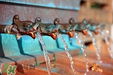 飲水機里的水可以放多久?春節(jié)過來還能喝嗎