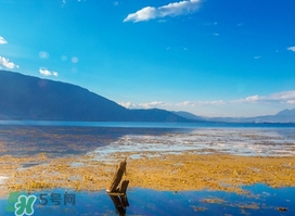 3月份去云南穿什么？三月份去云南穿什么衣服