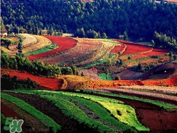 3月份去云南穿什么？三月份去云南穿什么衣服