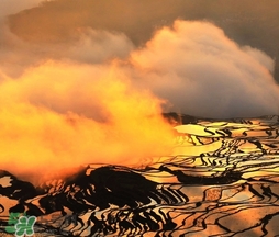 3月份去云南穿什么？三月份去云南穿什么衣服