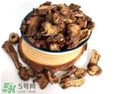 漏蘆的功效與作用及禁忌 中藥漏蘆的功效與作用 漏蘆的功效與作用及禁忌 中藥漏蘆的功效與作用