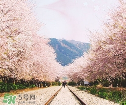 3月份去韓國穿什么？三月份去韓國穿什么衣服？