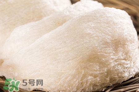 燕窩可以提高免疫力嗎？燕窩能增強(qiáng)免疫力嗎？