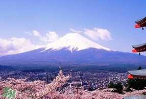 3月份去日本穿什么？三月份去日本穿什么衣服