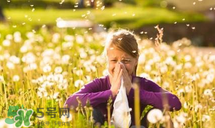 花粉過敏吃什么好?哪些食物會加重花粉過敏? 花粉過敏吃什么好?哪些食物會加重花粉過敏?
