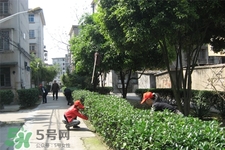 春天養(yǎng)生湯有哪些？春季養(yǎng)生喝什么湯好？