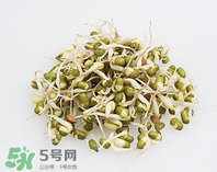 黃豆芽能做餡料嗎？黃豆芽餡包子怎么做？