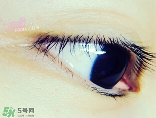 canmake睫毛增長液多少錢?canmake睫毛增長液日本價(jià)格