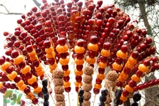 糖葫蘆外面的紙是什么？糯米紙為何不粘糖葫蘆？