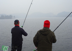 立春后能釣魚嗎？立春后好釣魚嗎？