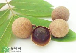 桂圓干多少錢一斤？干桂圓多少錢一斤？