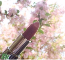 紀(jì)梵希小羊皮105豆沙色試色 紀(jì)梵希小羊皮105試色圖 紀(jì)梵希小羊皮105豆沙色試色 紀(jì)梵希小羊皮105試色圖