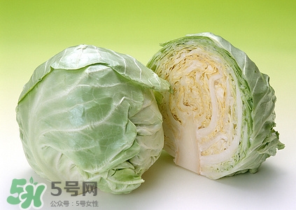 卷心菜可以生吃嗎?卷心菜生吃的好處 卷心菜可以生吃嗎?卷心菜生吃的好處