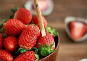 剛摘的草莓能放多久？剛摘的草莓可以放幾天？