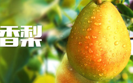 香梨在幾月份成熟能收獲 香梨的營養(yǎng)價值