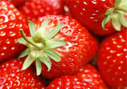 現(xiàn)摘的草莓有農(nóng)藥嗎？怎么辨別草莓打過農(nóng)藥？