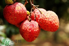 吃荔枝會(huì)酒駕嗎？為什么吃荔枝會(huì)酒駕？