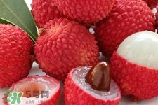 荔枝能放多久？荔枝可以放幾天？