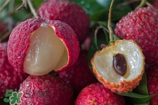 荔枝能放冰箱嗎？荔枝可以放冰箱嗎？