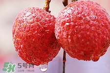 荔枝怎么挑？如何挑選新鮮荔枝？