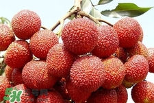 孕期吃荔枝會(huì)流產(chǎn)嗎？孕婦吃荔枝會(huì)好嗎？