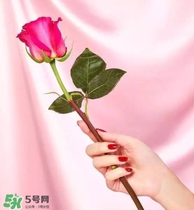 kate spade2017情人節(jié)包包多少錢？凱特絲蓓2017情人節(jié)包包哪里買？