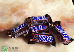 士力架一盒多少個？士力架多少錢一個？