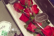 roseonly鮮花怎么保養(yǎng)？roseonly永生花怎么保養(yǎng)？