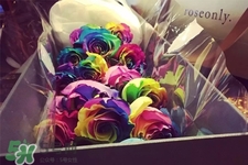 情人節(jié)送什么顏色花好？情人節(jié)送什么顏色玫瑰好？