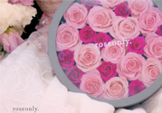 roseonly只能買一次嗎？roseonly如何送第二人？