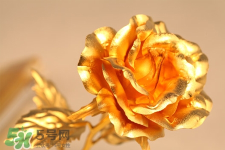情人節(jié)可以送金玫瑰嗎？情人節(jié)送金玫瑰好嗎？