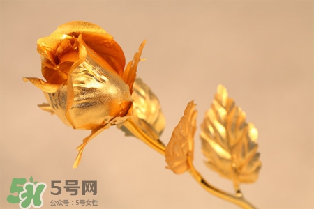 情人節(jié)可以送金玫瑰嗎？情人節(jié)送金玫瑰好嗎？