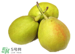 香梨多少錢一斤？香梨怎么挑選？