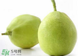 香梨多少錢一斤？香梨怎么挑選？