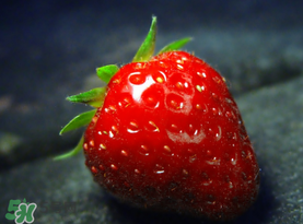 小孩多吃草莓好嗎？小孩可以摘草莓嗎？