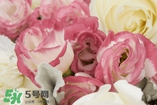 鮮花怎么養(yǎng)？鮮花怎么養(yǎng)放的比較久？