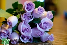 鮮花怎么養(yǎng)？鮮花怎么養(yǎng)放的比較久？