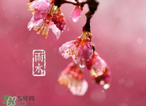 雨水吃什么？雨水節(jié)氣飲食禁忌？