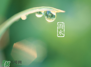 雨水吃什么？雨水節(jié)氣飲食禁忌？