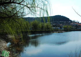 初春什么時候可以釣魚？初春釣魚技巧