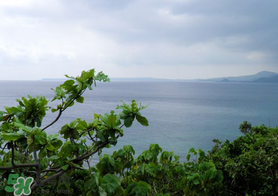 春天怎么還有霧霾？一年中霧霾高發(fā)期是哪個(gè)季節(jié)？