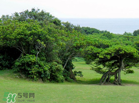 春天怎么還有霧霾？一年中霧霾高發(fā)期是哪個(gè)季節(jié)？