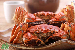 春天的螃蟹能吃嗎？開春后大閘蟹能吃嗎？