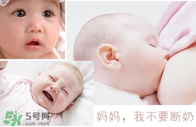 春天可以斷奶嗎？春天幾月份斷奶比較好？