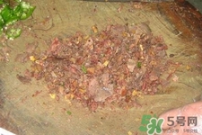 驢肉火燒怎么做好吃?驢肉火燒怎么做會更酥? 驢肉火燒怎么做好吃?驢肉火燒怎么做會更酥?