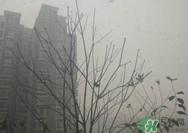 霧霾天開空調(diào)會(huì)不會(huì)污染室內(nèi)空氣？