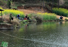 春天釣魚用什么餌料？春天釣魚用腥還是香？