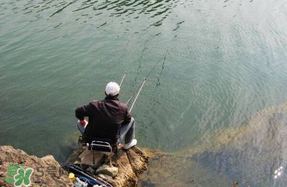 春天釣魚用什么餌料？春天釣魚用腥還是香？
