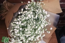 滿天星在花瓶里怎么養(yǎng)？滿天星買回來要養(yǎng)水嗎？