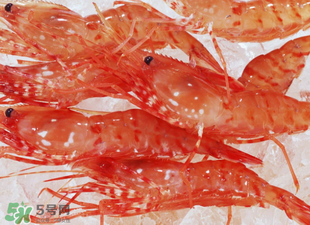 凍蝦能放多久？凍蝦放冰箱冷藏多久？